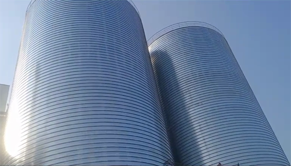 张掖2座混凝土高架卷板仓